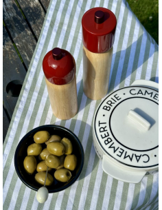 MOULIN SEL ET POIVRE- MAEGEN