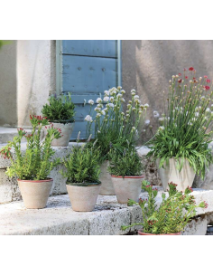 CACHE POT TREVISO - WMG