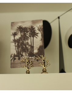 PORTE PHOTO - DOING GOODS