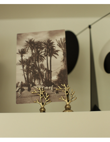 PORTE PHOTO - DOING GOODS