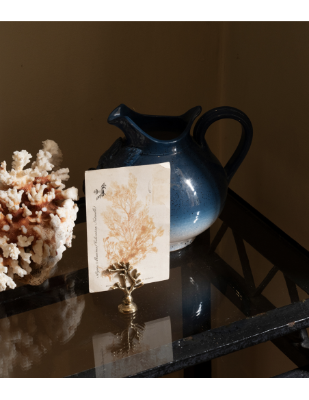 PORTE PHOTO - DOING GOODS