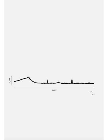 THE LINE - LA SILHOUETTE DES VILLES