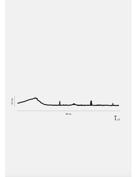 THE LINE - LA SILHOUETTE DES VILLES