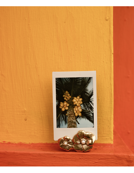 PORTE PHOTO - DOING GOODS