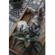 CAISSE EN BOIS EMPILABLE SUR PIEDS - IB LAURSEN