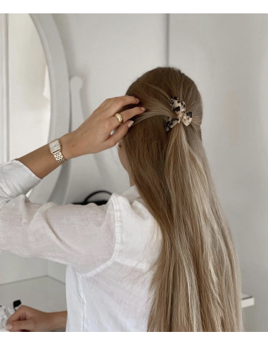 PINCE À CHEVEUX - SASSTIE