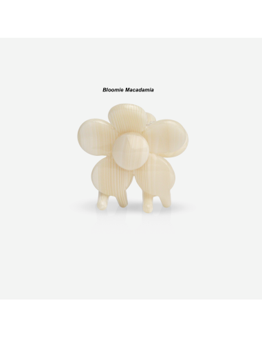 PINCE À CHEVEUX - SASSTIE