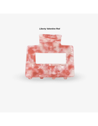 PINCE À CHEVEUX - SASSTIE