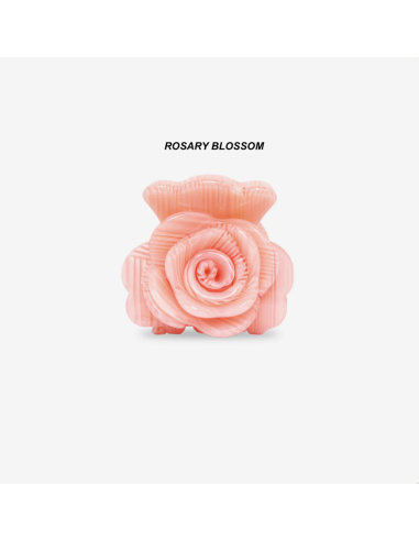 PINCE À CHEVEUX - SASSTIE