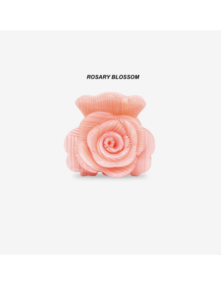 PINCE À CHEVEUX - SASSTIE