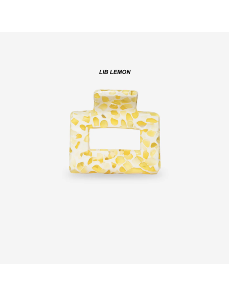 PINCE À CHEVEUX - SASSTIE