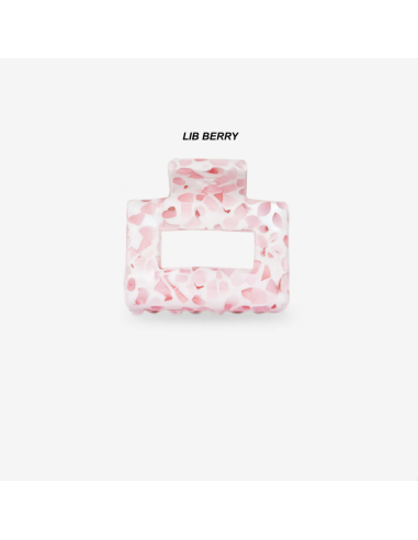 PINCE À CHEVEUX - SASSTIE