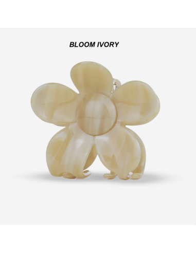 PINCE À CHEVEUX - SASSTIE