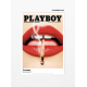 COUVERTURE PLAYBOY - IMAGE REPUBLIC