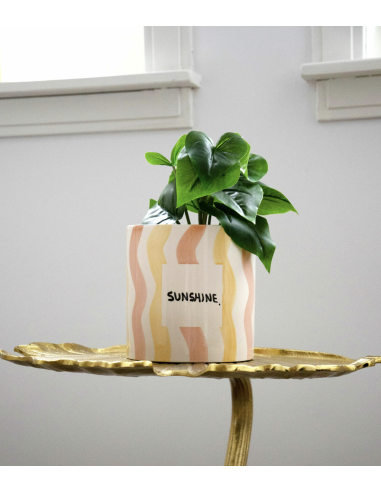 CACHE POT - AND NOOK