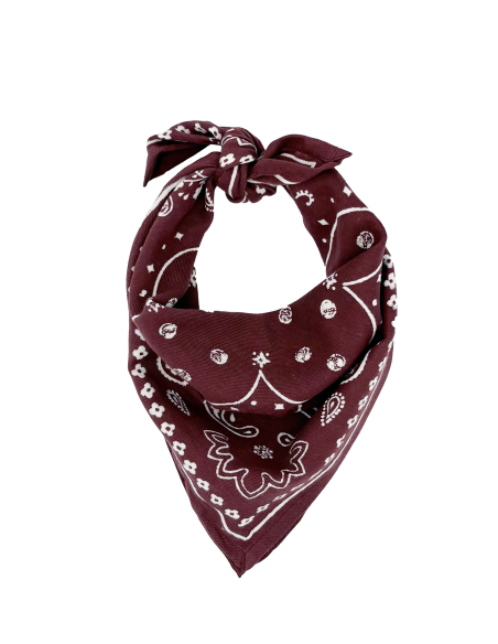 PETIT FOULARD OSCAR - MILINANE