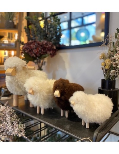 MOUTON EN LAINE - VTF