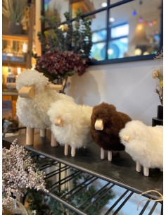 MOUTON EN LAINE - VTF 2