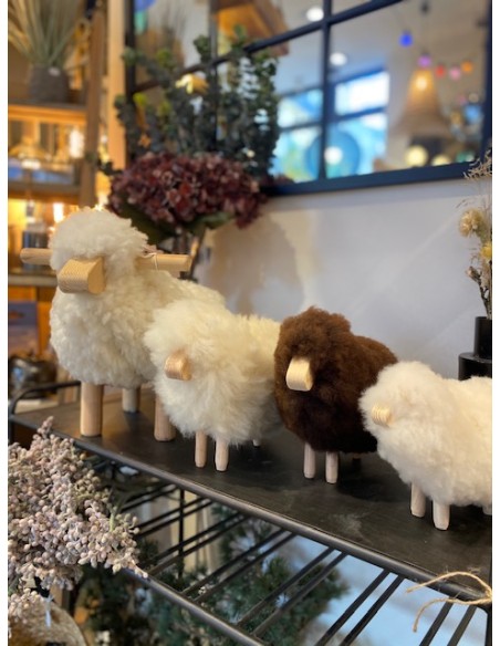 MOUTON EN LAINE - VTF