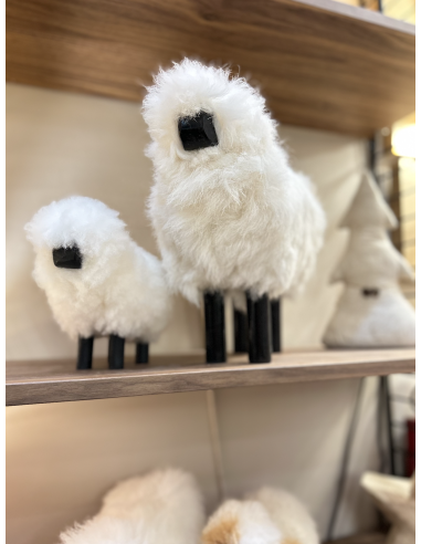 MOUTON EN LAINE - VTF