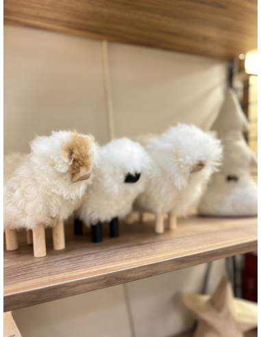 MOUTON EN LAINE - VTF