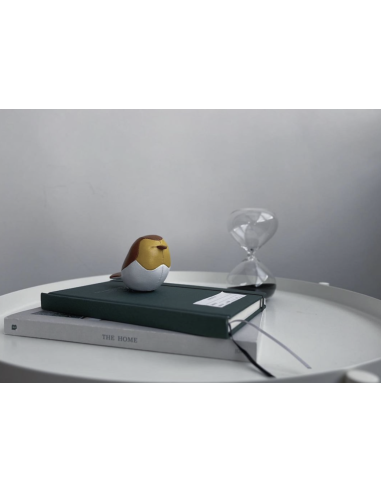 MINI PRESSE PAPIER OISEAU - ZUNY