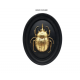 DECORATION MURALE INSECTE - EMDE