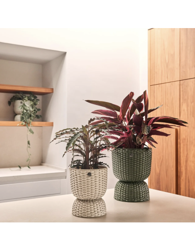 CACHE POT TWIST- HANDED BY