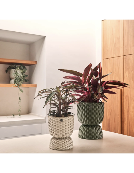 CACHE POT TWIST- HANDED BY