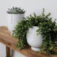 CACHE POT VISAGE EN PORCELAINE - RÄDER 