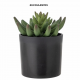 PLANTES ARTIFICIELLES - BLOOMINGVILLE