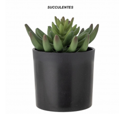 L'image du produit