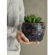 PLANTES ARTIFICIELLES - BLOOMINGVILLE
