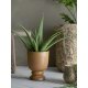 PLANTES ARTIFICIELLES - BLOOMINGVILLE