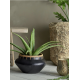 PLANTES ARTIFICIELLES - BLOOMINGVILLE