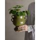 PLANTES ARTIFICIELLES - BLOOMINGVILLE
