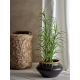 PLANTES ARTIFICIELLES - BLOOMINGVILLE