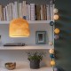 CLOCHE - LA CASE DE COUSIN PAUL 