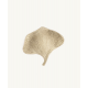 COUPELLE FLORA GINKO - DOING GOOD 