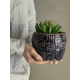 CACHE POT MUAN NOIR   - BLOOMINGVILLE