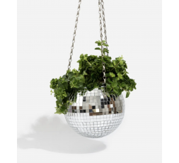 L'image du produit