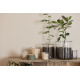 POT EN VERRE HURRICANE - IB LAURSEN