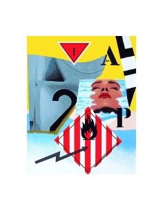 LITHOGRAPHIE PETER KLASEN "Inflammable"