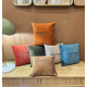 COUSSIN CARRE EN VELOURS  MONTPELLIER - SOPHIE JANIERE
