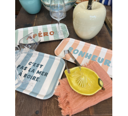 PLATEAU RAYE - SOPHIE JANIERE