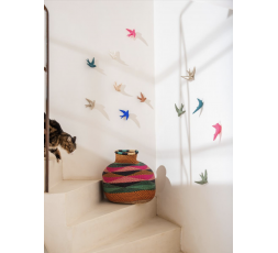 VOLAGE - MONOCHROMIC