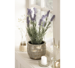 LAVANDE EN POT - IB LAURSEN
