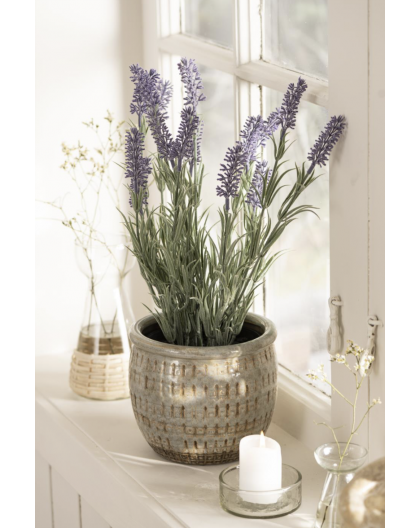 LAVANDE EN POT - IB LAURSEN