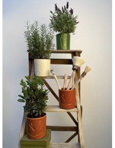 CACHE POT- MONOCHROMIC