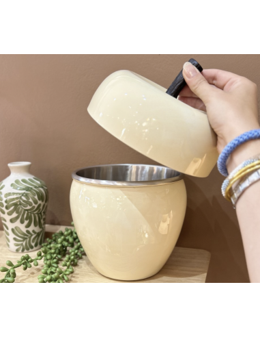 SEAU À GLACE POMME MM - BAZARDELUXE